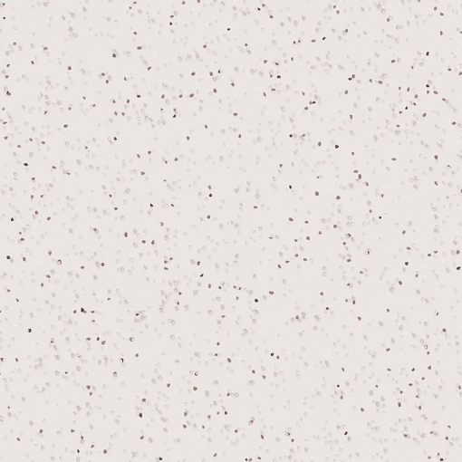 Altro Suprema Pampas Sy20009 2m sample photo