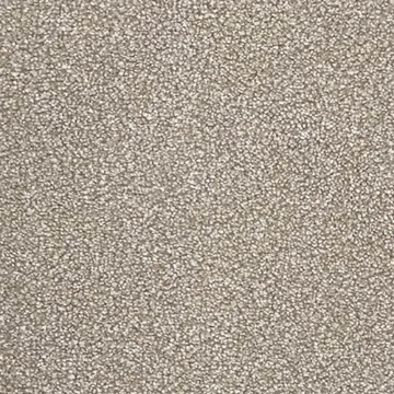 Ash Collection 620 sample photo