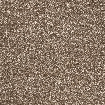 Ash Collection 800 sample photo