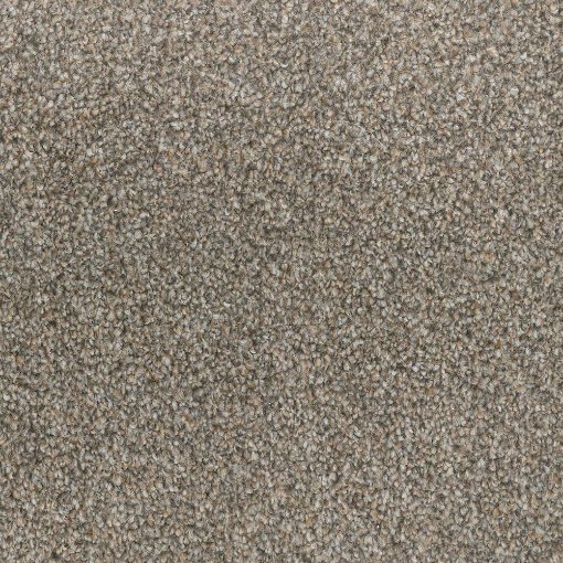 Coastal Collection 550 sample photo