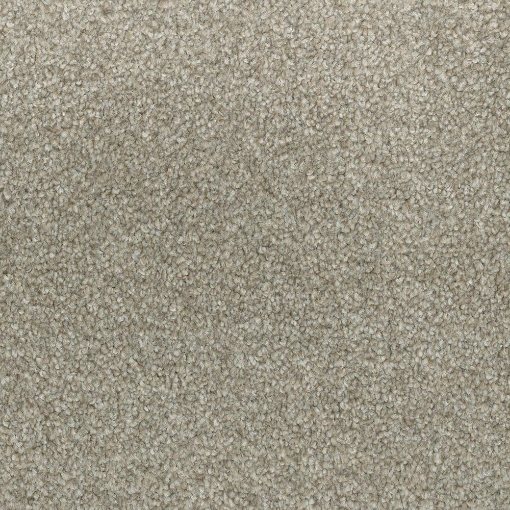 Coastal Collection 658 sample photo