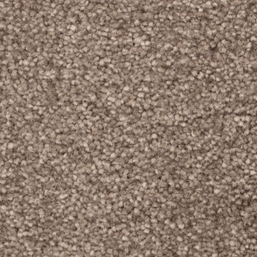 Comet Collection 93 sample photo
