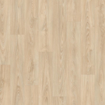 Midnight Floor 553 sample photo
