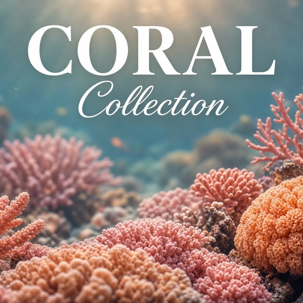 Coral Collection range photo