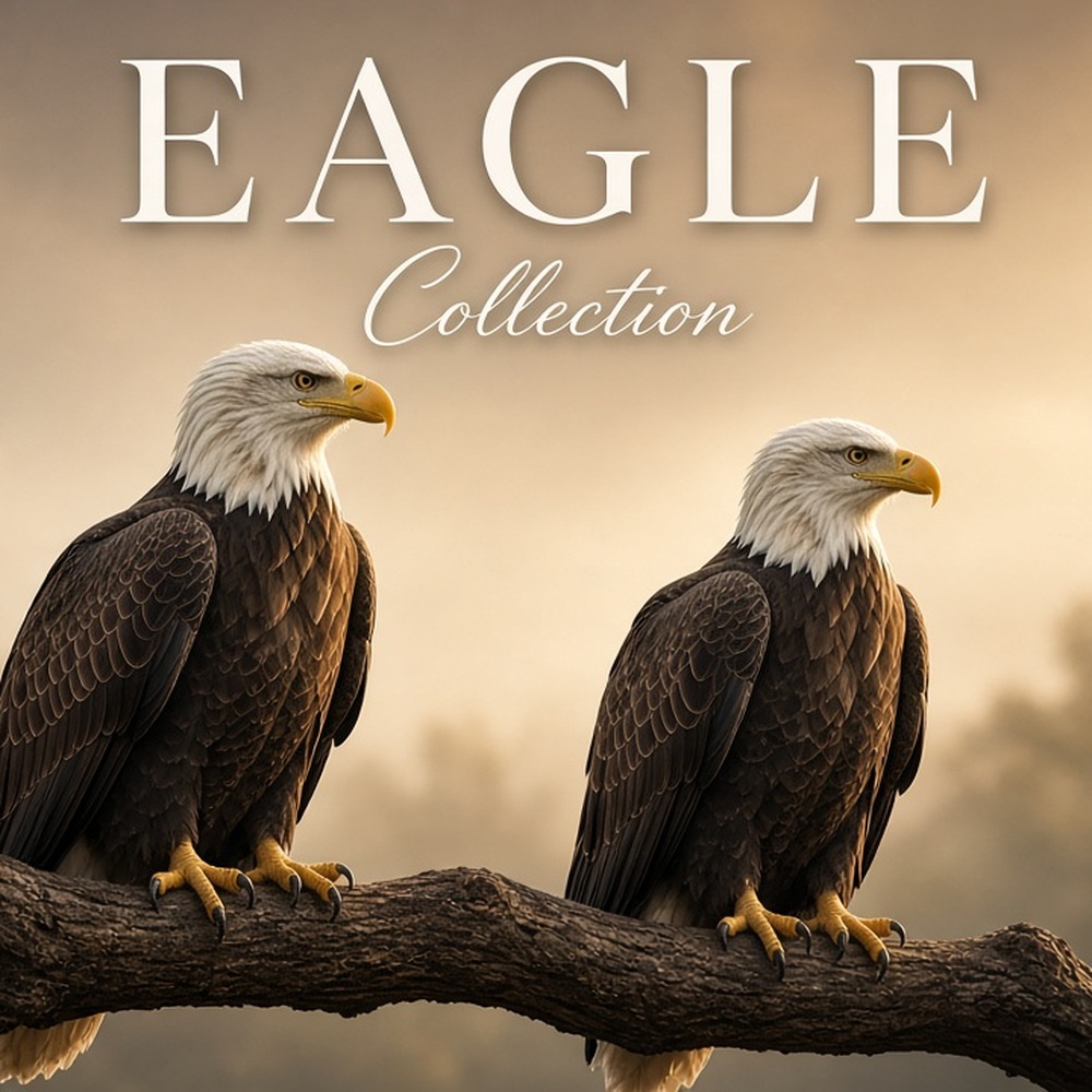 Eagle Collection range photo