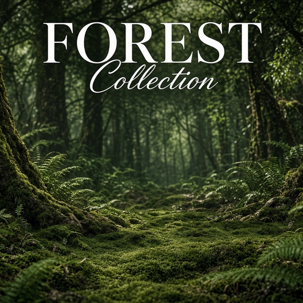 Forest Collection range photo