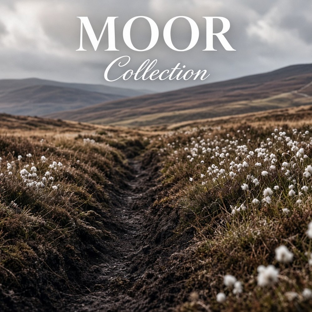 Moor Collection range photo