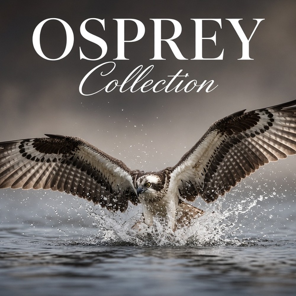 Osprey Collection range photo