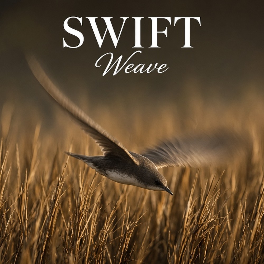 Swift Weave range photo